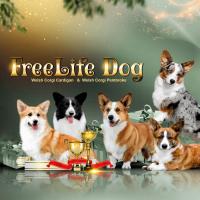 FREELIFE DOG 