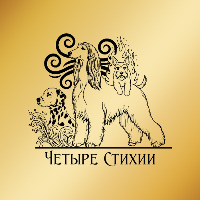 Четыре стихии
